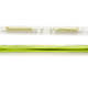 Vitamin supplement tube displayed sealed and unwrapped isolated Vitamin supplement tube displayed sealed and unwrapped isolated - PhotoDune Item for Sale