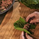 Top view of minced meat being wrapped in grape leaves during dolma preparation, a traditional Armeni Top view of minced meat being wrapped in grape leaves during dolma preparation, a traditional Armeni - PhotoDune Item for Sale