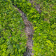 Aerial drone view of famous Temurun Waterfall at Datai Bay in Langkawi, Kedah, Malaysia Aerial drone view of famous Temurun Waterfall at Datai Bay in Langkawi, Kedah, Malaysia - PhotoDune Item for Sale