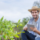 Young Farmer Using Digital Tablet in Tree Plantation Promoting Eco Environment and Sustainable Agric Young Farmer Using Digital Tablet in Tree Plantation Promoting Eco Environment and Sustainable Agric - PhotoDune Item for Sale