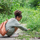 Young Explorer Observing Ground-Level Biodiversity During Nature-Based Learning Young Explorer Observing Ground-Level Biodiversity During Nature-Based Learning - PhotoDune Item for Sale