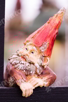 Garden gnomes 2 E106PNEU.jpg?w=350&h=350&cf fit=scale down&mark=https%3A%2F%2Fassets.market storefront.envato static.com%2Fwatermarks%2Fphoto 260724