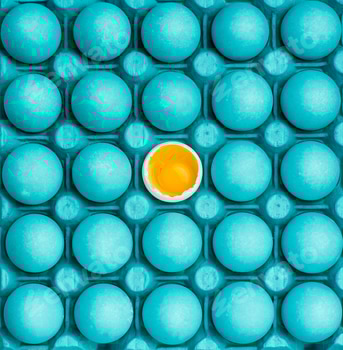 Minimal visual art design with eggs 2 E108OSUY.jpg?w=350&h=350&cf fit=scale down&mark=https%3A%2F%2Fassets.market storefront.envato static.com%2Fwatermarks%2Fphoto 260724