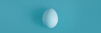 White egg on a light blue background in the center. 2 E103M8BP.jpg?w=350&h=350&cf fit=scale down&mark=https%3A%2F%2Fassets.market storefront.envato static.com%2Fwatermarks%2Fphoto 260724