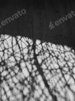 Image processed with VSCO preset 3 2 E113Q55J.jpeg?w=350&h=350&cf fit=scale down&mark=https%3A%2F%2Fassets.market storefront.envato static.com%2Fwatermarks%2Fphoto 260724