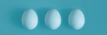 Three White chicken eggs on a blue background in the center. 2 E103M713.jpg?w=350&h=350&cf fit=scale down&mark=https%3A%2F%2Fassets.market storefront.envato static.com%2Fwatermarks%2Fphoto 260724