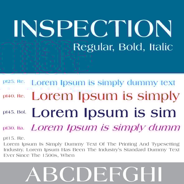 Inspection Graphics, Designs & Templates | GraphicRiver