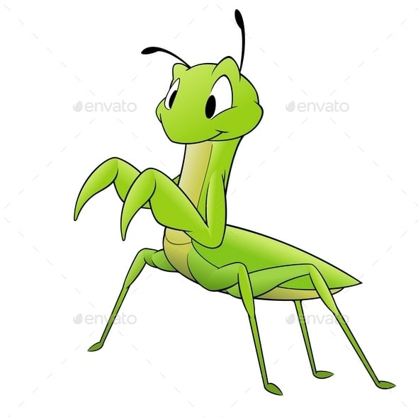 Mantis Graphics, Designs & Templates | GraphicRiver