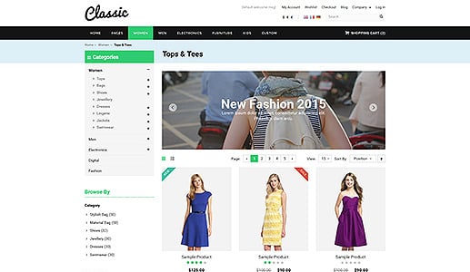 Classic Website Templates | ThemeForest