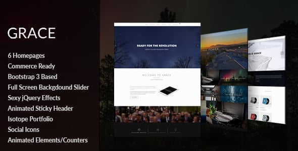 The 7 Website Templates | ThemeForest