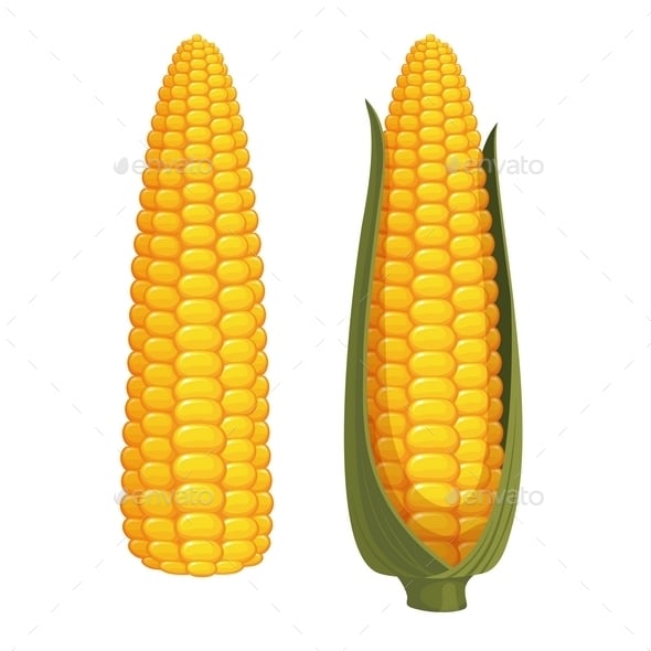 Corn Graphics, Designs & Templates | GraphicRiver