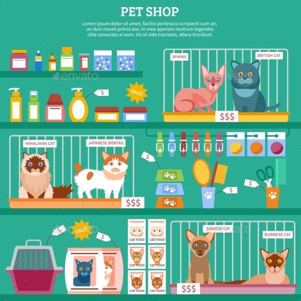 Calicos Graphics, Designs & Templates | GraphicRiver