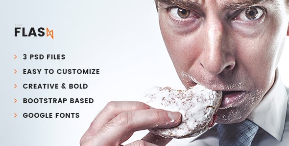 Flash Website Templates | ThemeForest