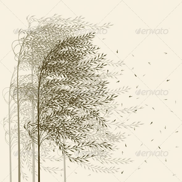 Reed Graphics, Designs & Templates | GraphicRiver