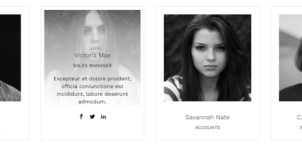 The Team Pro - Team Showcase WordPress Plugin preview 3