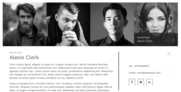 The Team Pro - Team Showcase WordPress Plugin preview 5