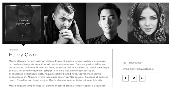 The Team Pro - Team Showcase WordPress Plugin preview 6