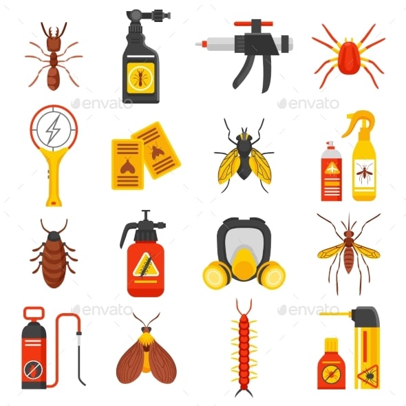 Termite Graphics, Designs & Templates | GraphicRiver