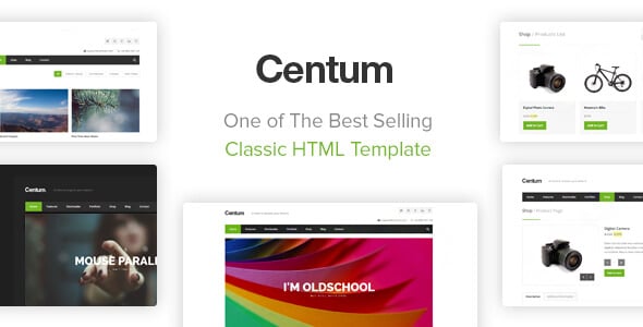 Responsive HTML Website Templates | ThemeForest