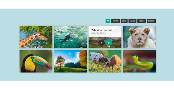 Go Portfolio - WordPress Responsive Portfolio preview 5
