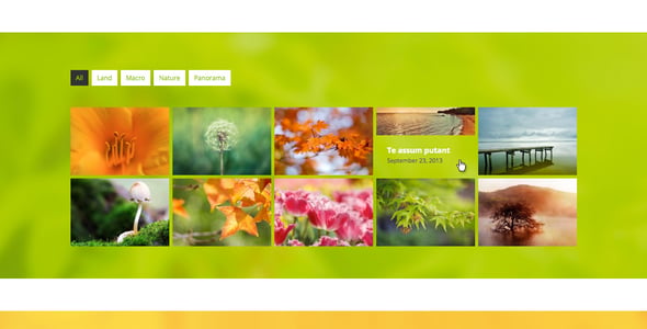 Go Portfolio - WordPress Responsive Portfolio preview 6