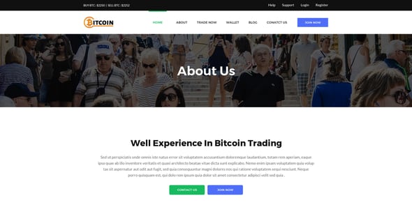 Bitcoin Website Templates | ThemeForest