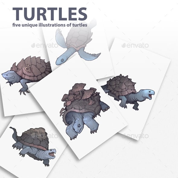 Turtle Graphics, Designs & Templates | GraphicRiver