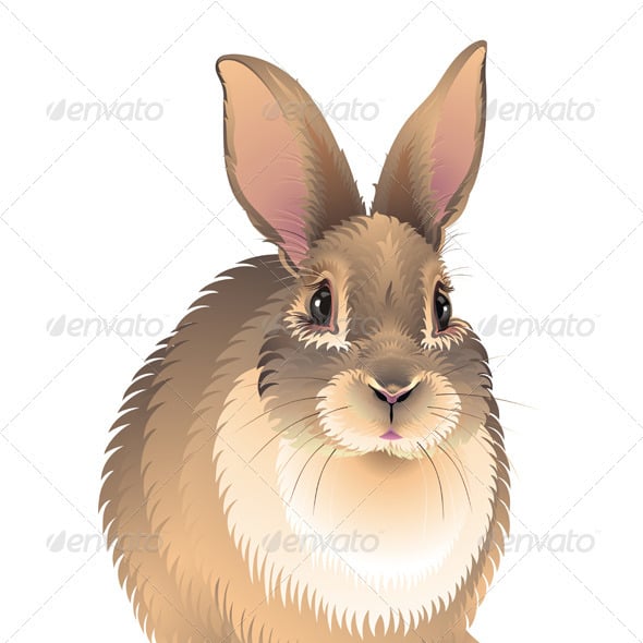 Rabbits Graphics, Designs & Templates | GraphicRiver