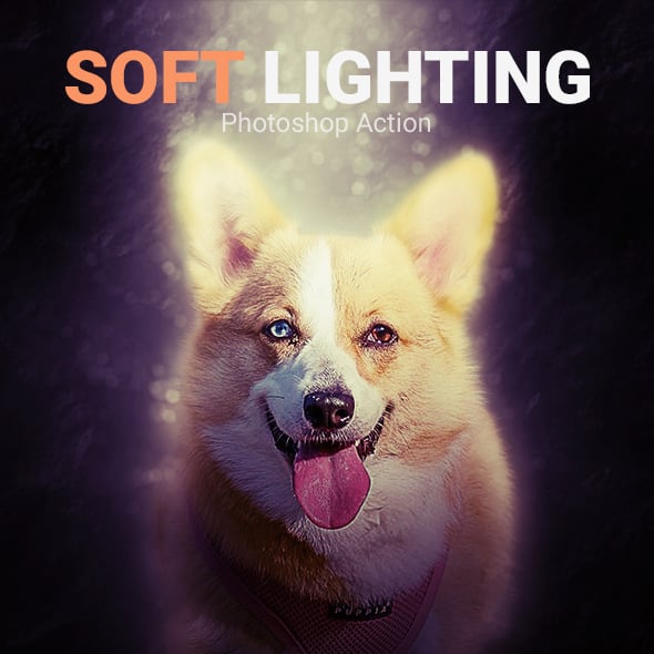 Soft Graphics, Designs & Templates | GraphicRiver
