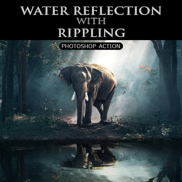 Reflection Graphics, Designs & Templates | GraphicRiver