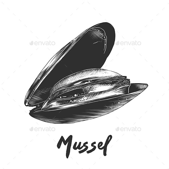 Mussels Graphics, Designs & Templates | GraphicRiver