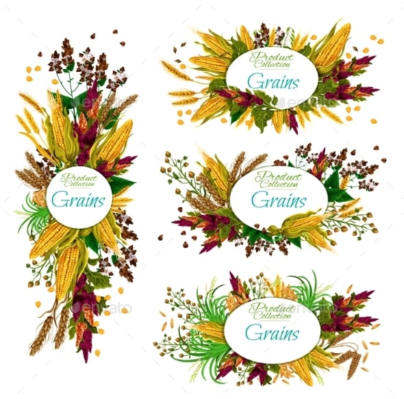 Millet Graphics, Designs & Templates | GraphicRiver