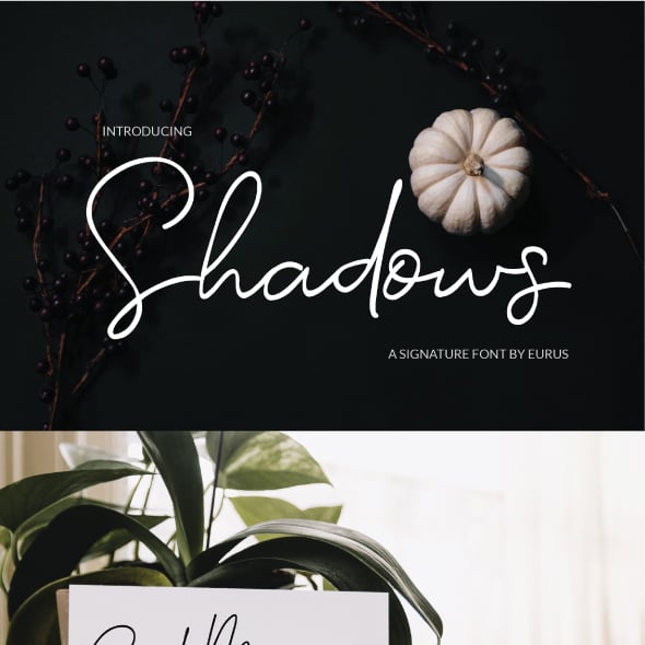 Shadow Graphics, Designs & Templates | GraphicRiver