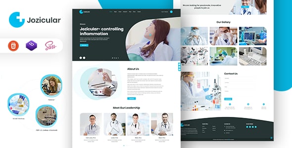 Bio Website Templates | ThemeForest