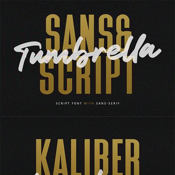 80s Script Font 1970s/80s Script Font? Font Identification