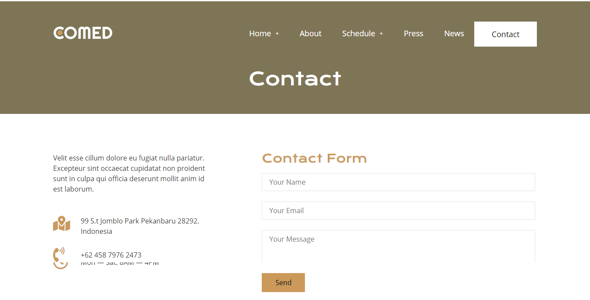 Comedian Website Templates | ThemeForest