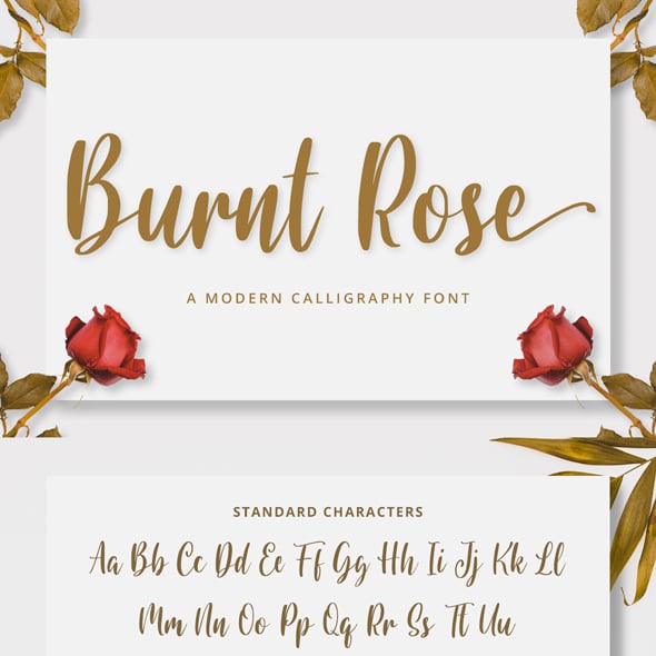 Cursive Graphics, Designs & Templates | GraphicRiver