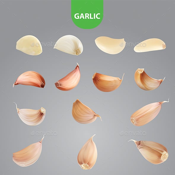 Garlic Graphics, Designs & Templates | GraphicRiver