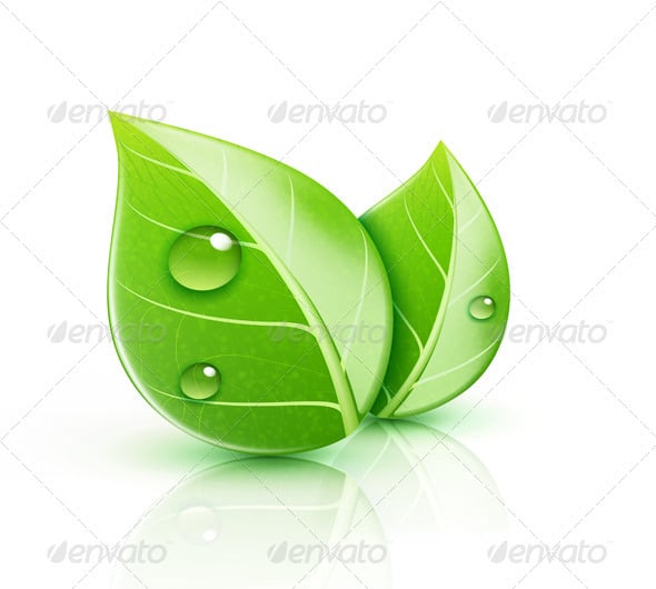 Leave Graphics, Designs & Templates | GraphicRiver