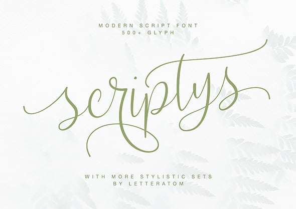 Scripty Graphics, Designs & Templates | GraphicRiver