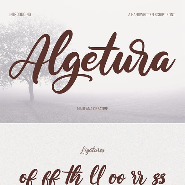Cursive Graphics, Designs & Templates | GraphicRiver