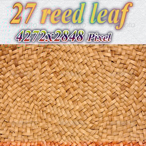 Reed Graphics, Designs & Templates | GraphicRiver