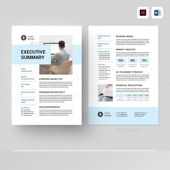 Summary Graphics, Designs & Templates | GraphicRiver