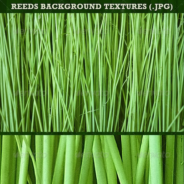 Reed Graphics, Designs & Templates | GraphicRiver