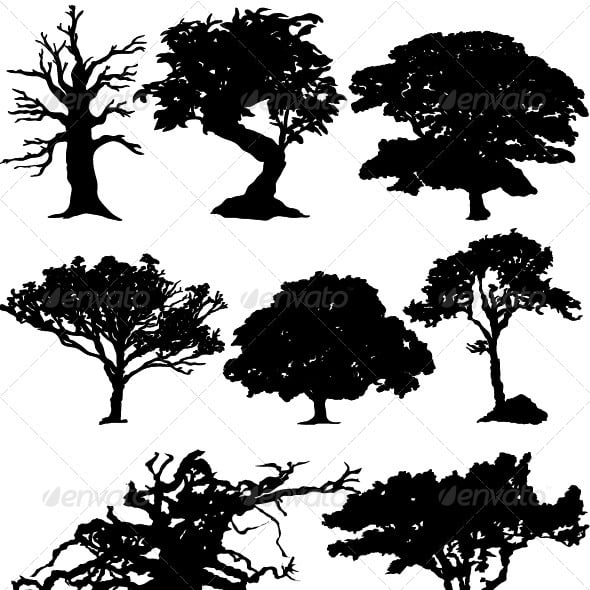 Tree Graphics, Designs & Templates | GraphicRiver