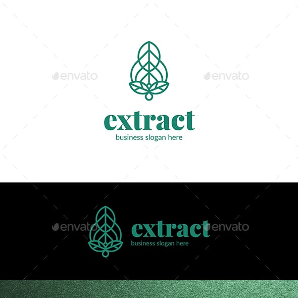 Logo Templates from GraphicRiver