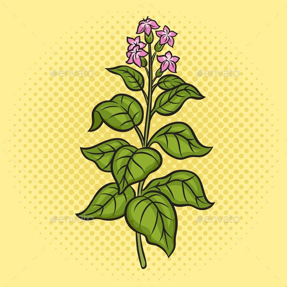 cartoon tobacco plant Tobacco Cartoon Conceptual Vectors from GraphicRiver cartoon tobacco plant Tobacco Cartoon Conceptual Vectors from GraphicRiver
