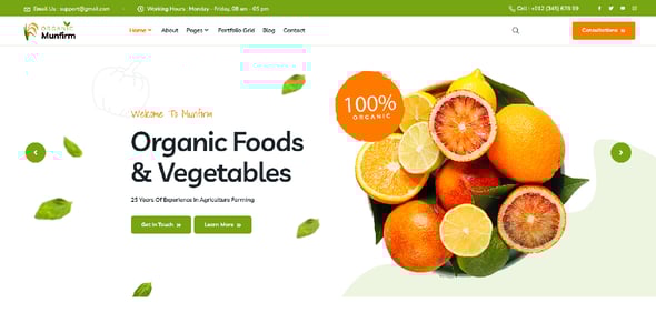 Healthy Food Website Templates | ThemeForest
