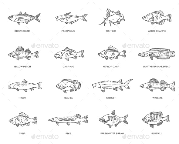 Vector Animals from GraphicRiver