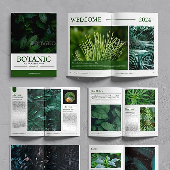 Splendor Graphics, Designs & Templates | GraphicRiver